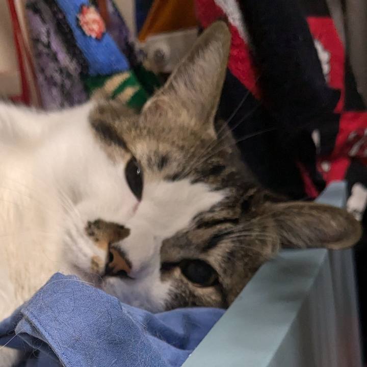 91a7c097 2747 4aea b5de 7ce70a7b851c 1733259434513