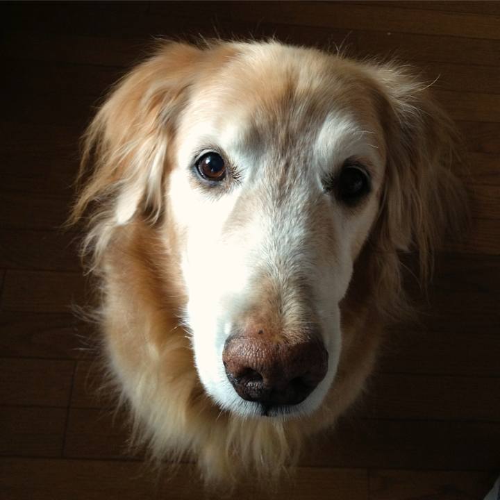 91a7c999 7051 4a05 a651 fed39a786516 1764578689626