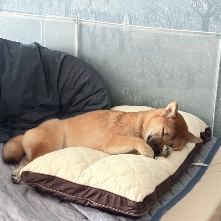 91a7df4c 9404 4a8e 8e74 eeedbe7caa72 1761965929336