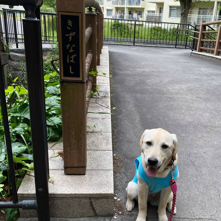 91a7fc95 59e7 4708 8436 29c9c0cd59ea 1621431144947