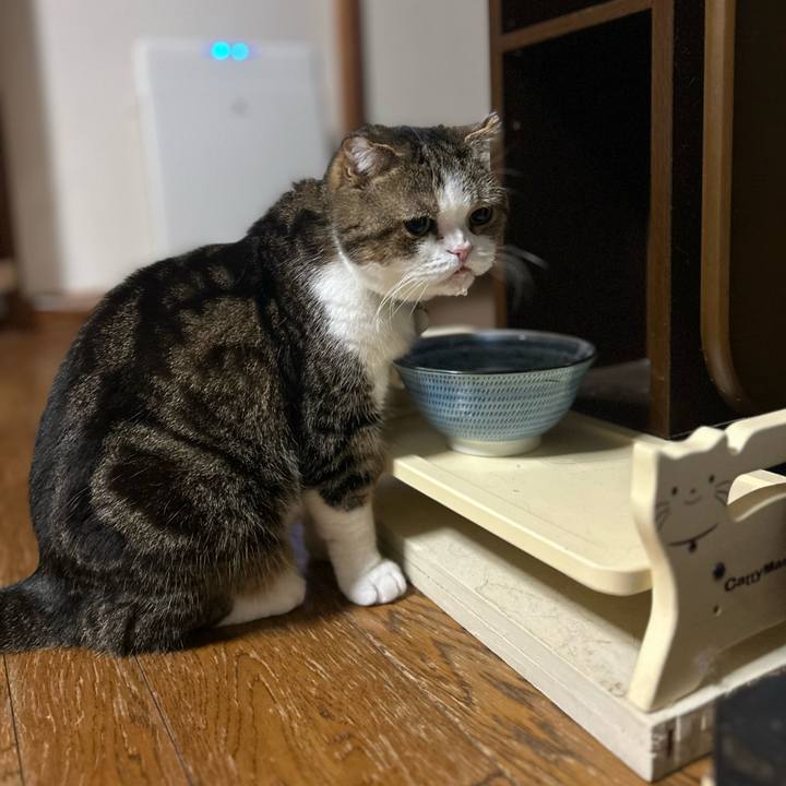 91a85829 859c 4a21 af09 e9c9e5adbc06 1760388317244