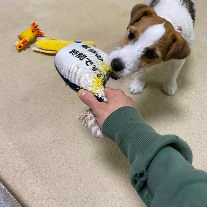 91a86409 05f3 434d a0ea 698e61d7d565 1617541761528