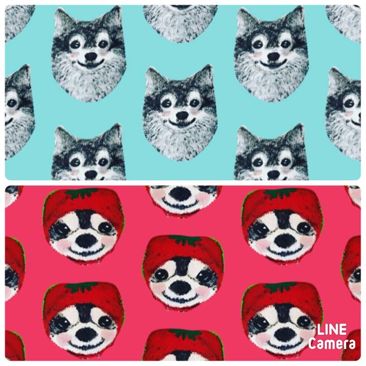 91a8a1c2 0b93 4e76 a846 a645ae04c880 1620463062834