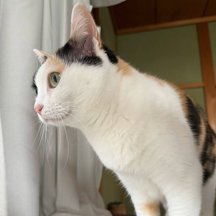 91a8d813 e717 465b 9d3b 82d407b4f85f 1748743523743