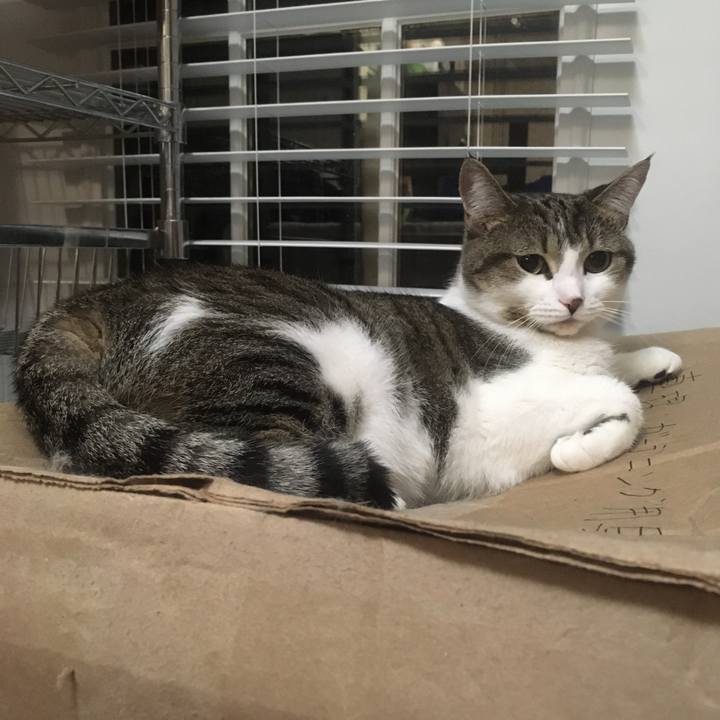 91a8e990 5da6 4028 91aa c21565c41756 1633922613690