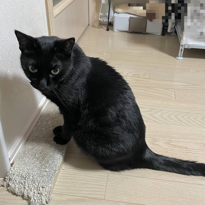 91a8ffb1 daeb 4c09 ac88 906cb6b454f3 1709628351615