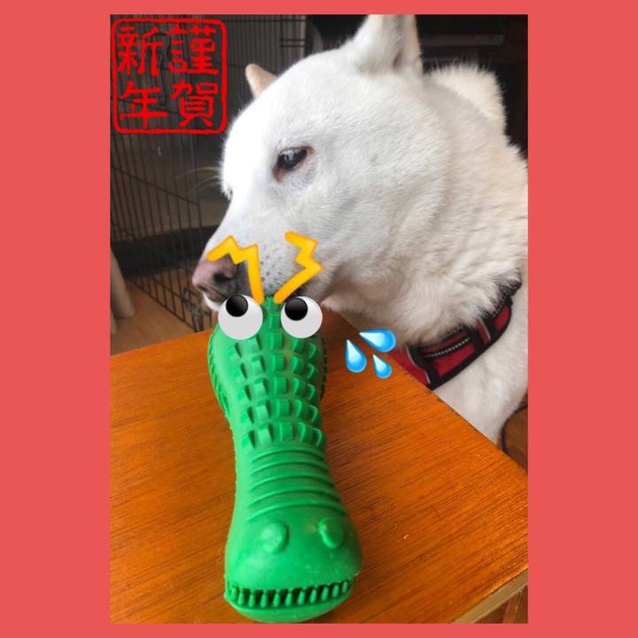 91a92c88 d26f 45f4 872c 8fa4124b608d 1704088440485