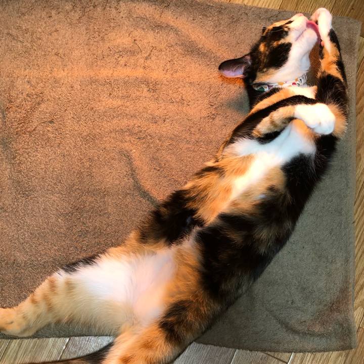 91a9952f ee40 4fba 8c76 0af4659c8bea 1573801782934