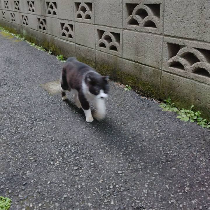 91a9f201 3562 4558 87b9 0e1643695970 1708417574388