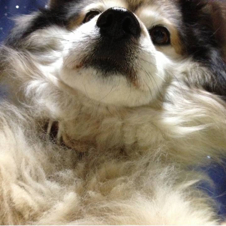 91aa373e b6fa 42d9 a9d4 6c5df76b6339 1563705507701