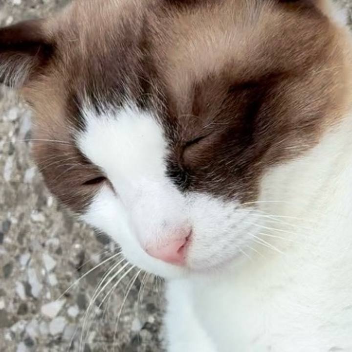 91aa5344 1533 4a3a ab5e 8e606e124469 1758441711412