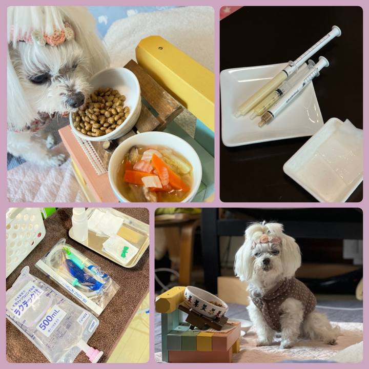 91aa5f4a 34ae 4e11 8d54 a6864d1d7b93 1776058710322