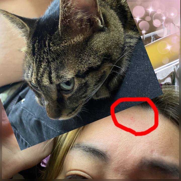 91aa69bf 472a 441f b10a 8d2c7d6d701a 1600607655945