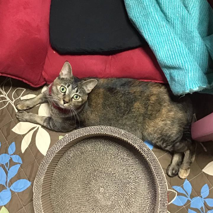 91aa9cc5 59f1 47d1 83e5 f45f38b9fdbe 1601163059092