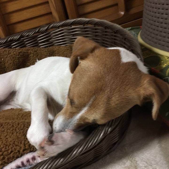 91aacc78 f694 4318 a842 1fe5e7c80a98 1508569884392