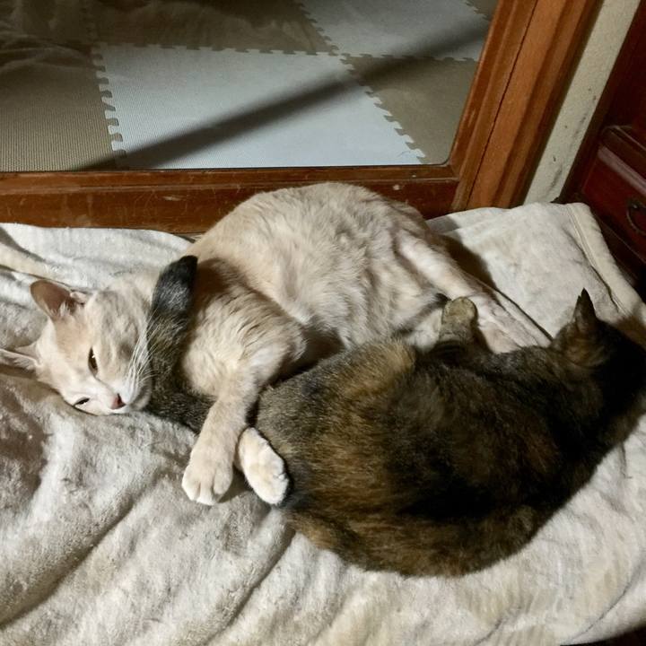 91aacc88 111b 4c65 b3ae e0992f384b53 1629290407092