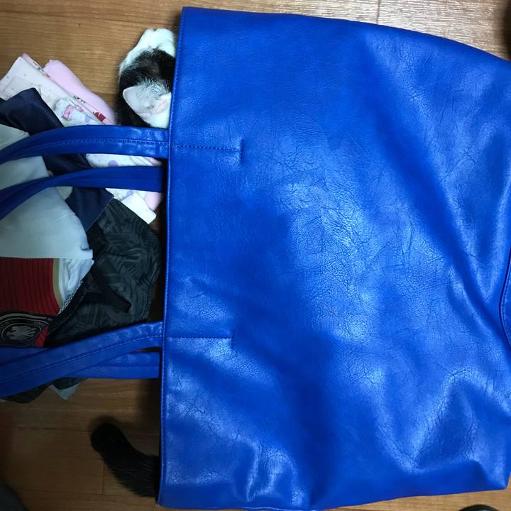 91aacd4a 4ad9 4d07 86bf ef920e000bbc 1524819873102