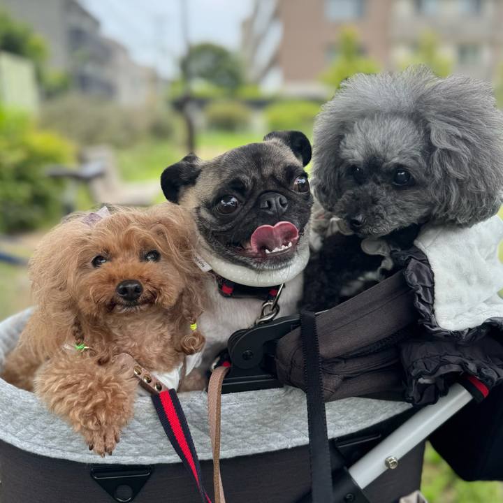 91aad58d 8232 472a a096 01d6c9988e21 1747869348452