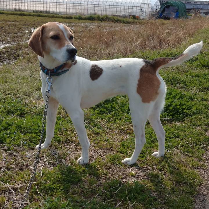 91aadb7b 09ac 4aaa 98b8 c8b786dc2d93 1615358907236