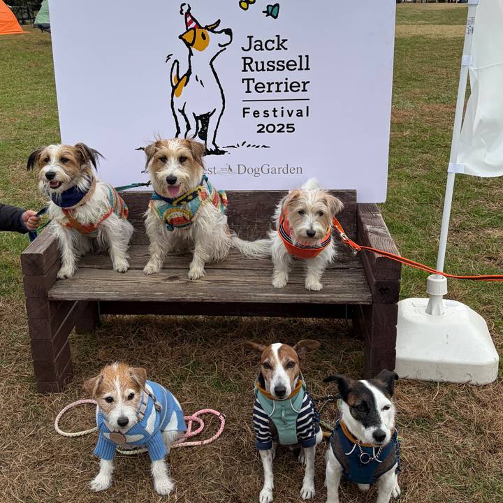 91aaf873 9c63 46a0 90b6 2d0c156b19b8 1763903394180