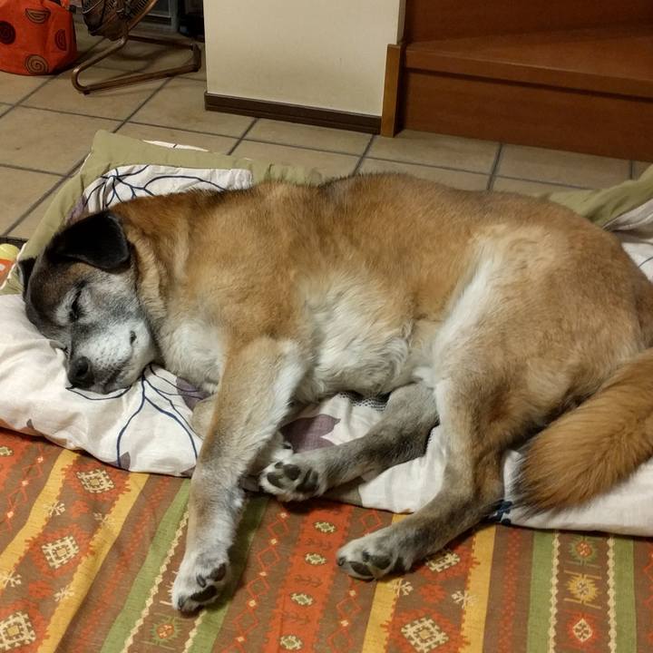 91ab1437 e19e 41cd 8436 ab00746a0ca7 1555801126990