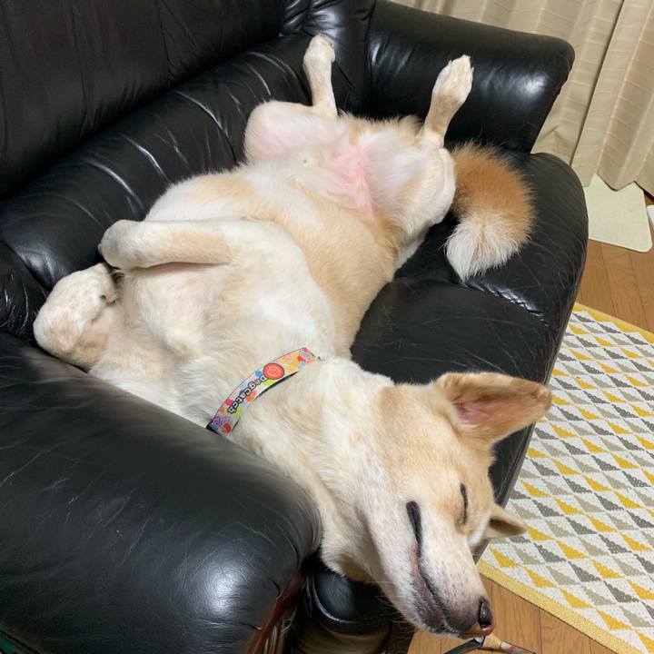 91ab1764 5c58 4a57 8579 7326134f26f0 1563380399770