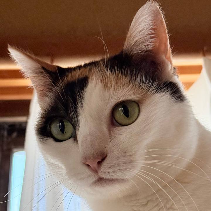 91ab2153 5aa2 4ac5 91a2 96c8dedfebc4 1760410740125