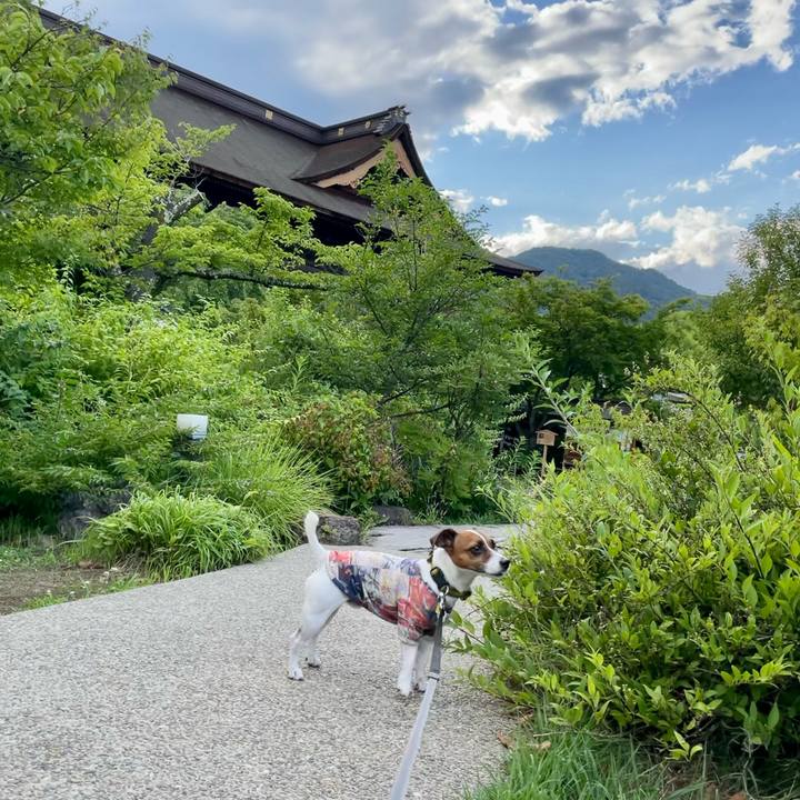 91ab9ef8 f49d 4db4 9657 f0ce4b6cf0ce 1658488161676