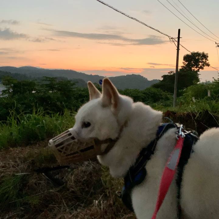 91abf1fb 1fdf 4c8f a323 d84ca727ca2b 1628020485494