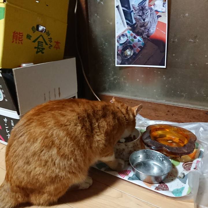 91ac029e fcc6 497c b509 a74ec3523e46 1601974489236