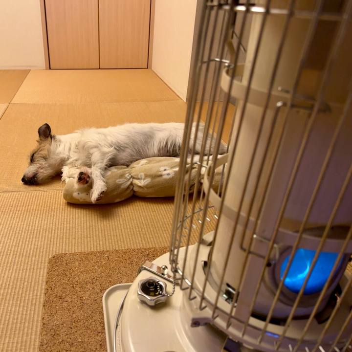 91ac2a2e ad19 43f9 a8cd ca7fd5e1523d 1738098586073