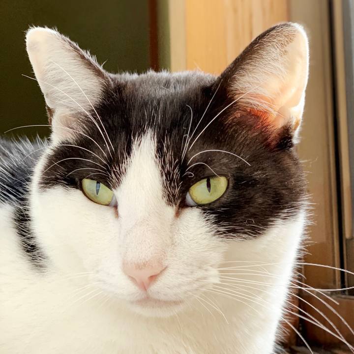 91ac2c34 4f87 44b5 8795 63f2df3f5638 1552701254306