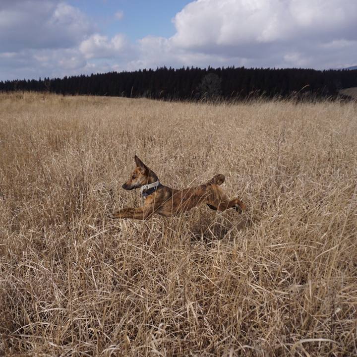 91ac5c7b 3e7a 407e b8fb 04ec2d7b48da 1582116855315