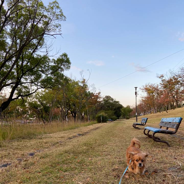 91ac6b81 7112 4b4e a018 7c1366cb02fc 1604010677355