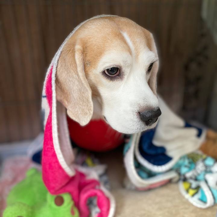 91ac7fbb 68e7 4d5b b1c5 c29d46c017a1 1578627076378