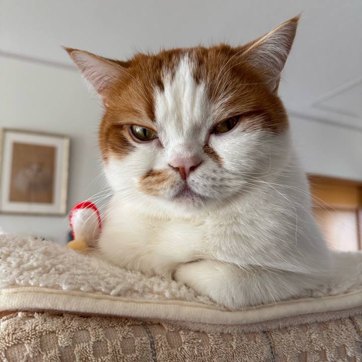 91ac9606 a1d1 489d a4fd 9a998cfe2b33 1771822988747