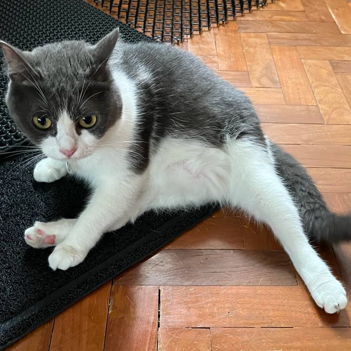 91acb9ad eb96 4b4b 9005 09087d6bf944 1770959522528