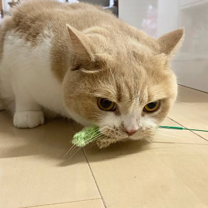 91acd215 d66a 40e8 ae28 8072191ebb83 1629442839927