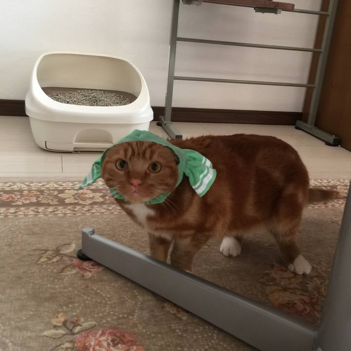 91ad1196 9266 41d5 a809 fd0229985841 1542844439494