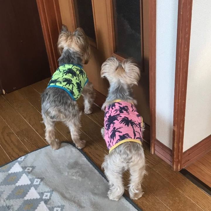 91ad1b73 8538 4886 98d3 476f5120f9d0 1553037241549