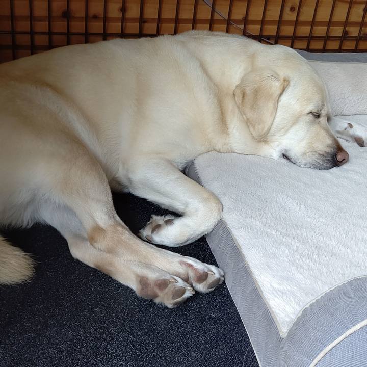 91ad50a0 96dd 49fe 953f d0ccc34e11da 1624155427045