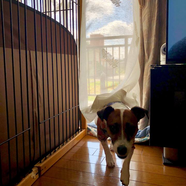 91ad8367 2fa5 4265 b88c 4686adced527 1597365842387