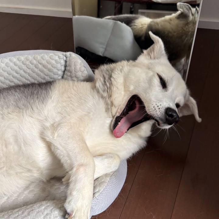 91ad8804 8fbd 42f4 ae3b 95ed0387cae5 1756605986368