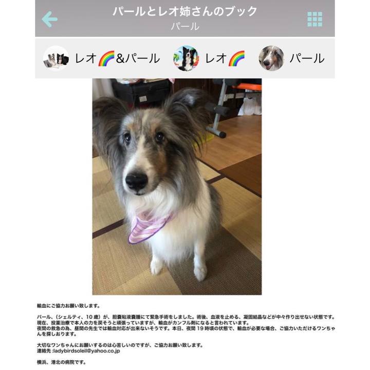 91ad989d 5e44 454a abe8 2fa613712f97 1537761840548