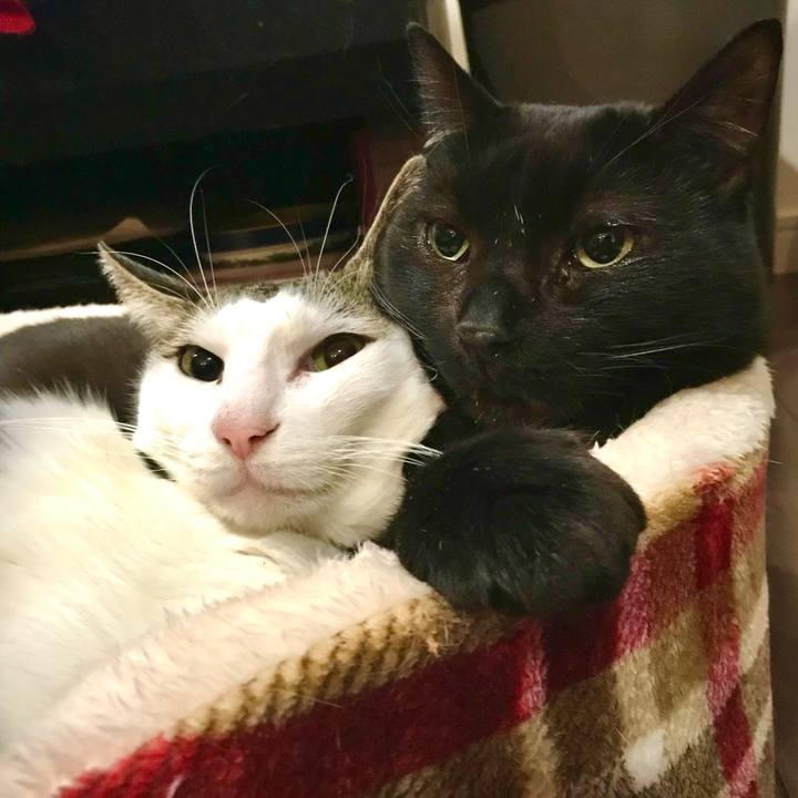 91adc5f0 38d6 4e79 82ec f4bc488f26f6 1643692662093