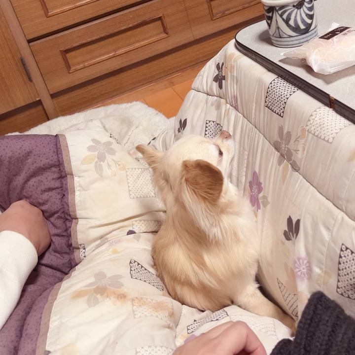 91add6d9 0c7f 4d1d a1a7 78662132d4e6 1736415136532