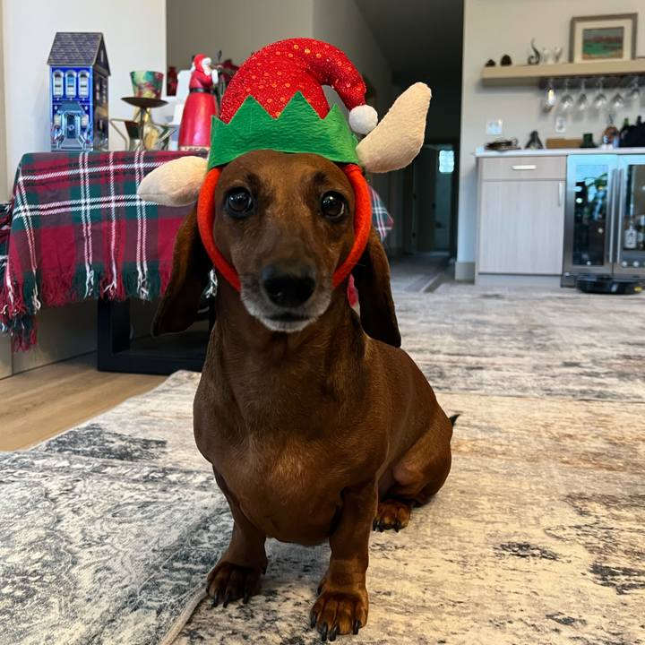 91add928 dc86 40eb 9fde eacf91040193 1766613416984