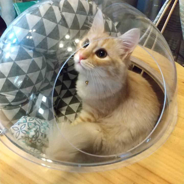 91adf3af 3e7d 4229 aeac 8f23135891a2 1612394082792