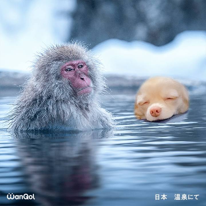 91ae01e3 4d75 45a2 a6f0 55f7111373ab 1616120070912