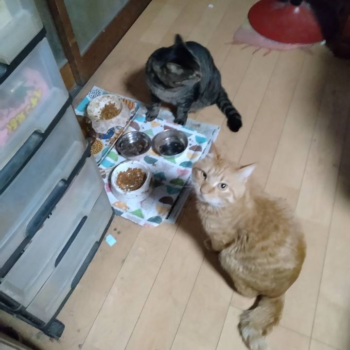 91ae7de0 083e 4381 b094 c8e7921ca163 1669590356735